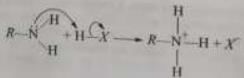 Acidity and Basicity - Class 11