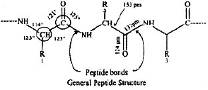 Overview of Polymers: Addition & Polymerization | Chemistry for JEE Main & Advanced
