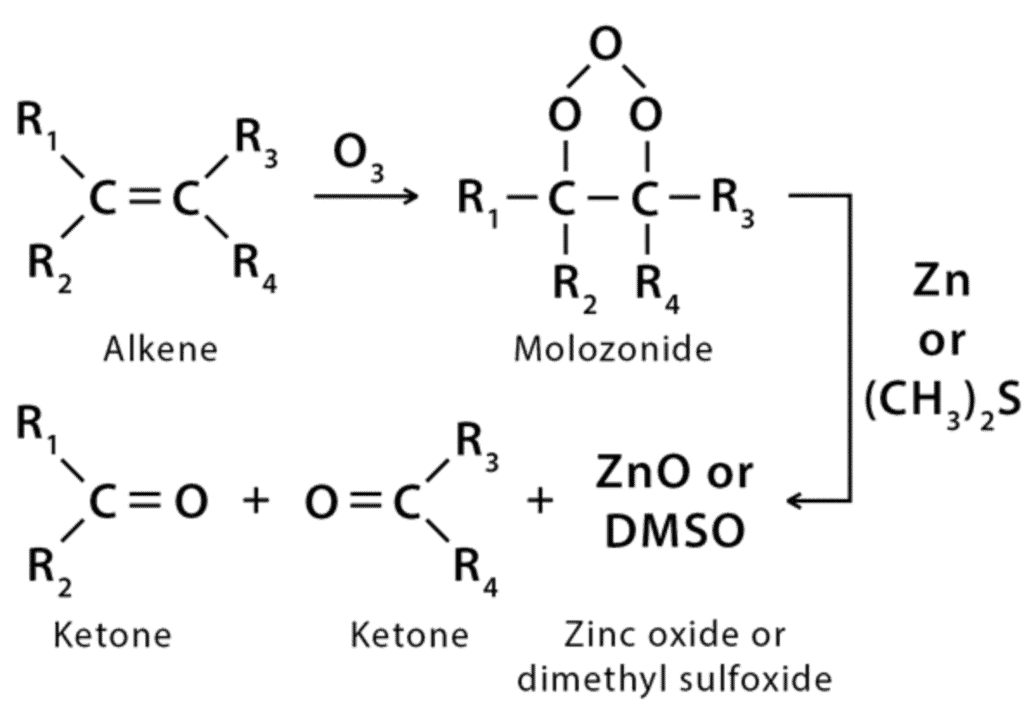 Alkenes: Nomenclature, Properties & Preparation | Chemistry Class 11 - NEET
