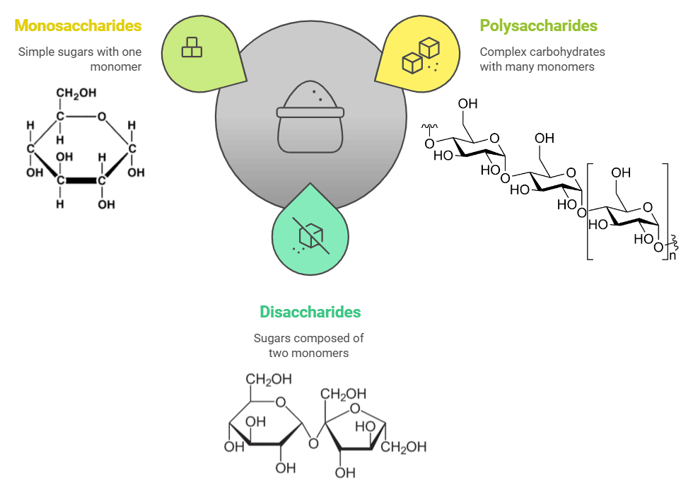 Mnemonics: Biomolecules | Chemistry Class 12 - NEET