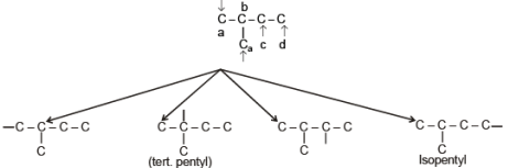 Structural Isomerism | Chemistry Class 11 - NEET