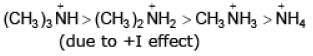 Acidity and Basicity - Class 11