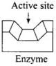 NCERT Exemplar: Chemistry in Everyday Life (Old NCERT) | Chemistry for JEE Main & Advanced