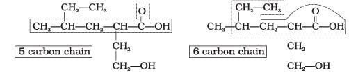 NCERT Exemplar: Some Basic Principles & Techniques | Chemistry Class 11 - NEET