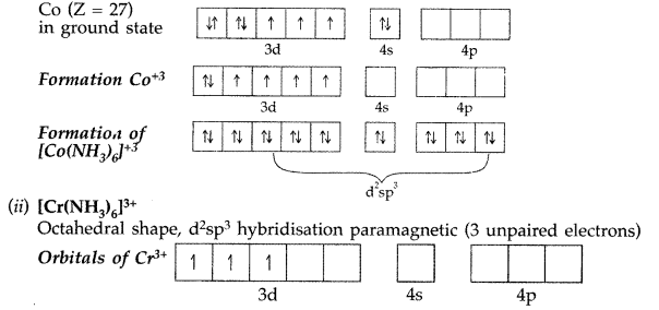 Worksheet with Solutions: Coordination Compounds | Chemistry Class 12 - NEET