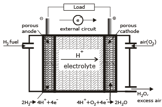 Batteries, Fuel Cells & Corrosion | Chemistry Class 12 - NEET