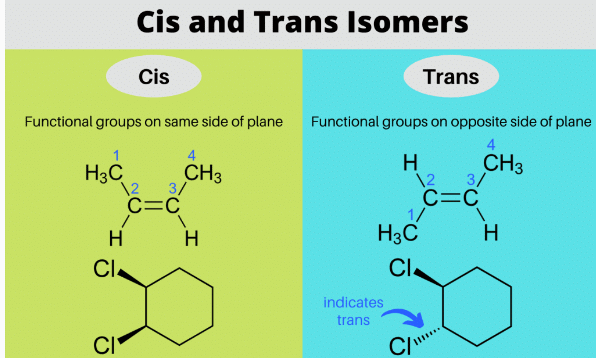 Mnemonics: Hydrocarbons | Chemistry Class 11 - NEET