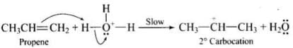 NCERT Exemplar: Alcohols, Phenols & Ethers | Chemistry Class 12 - NEET