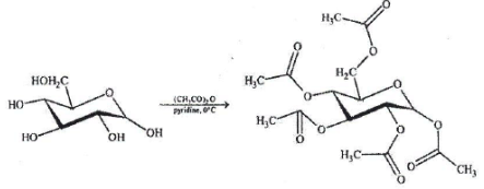 Carbohydrates: Monosaccharides, Disaccharides & Polysaccharides | Chemistry Class 12 - NEET