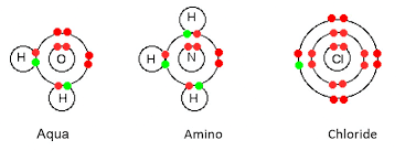 Werner’s Theory & Some Basic Concepts of Coordination Compounds | Chemistry Class 12 - NEET