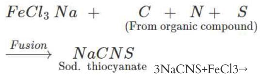Short & Long Answer Question - Class 11