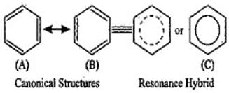NCERT Exemplar: Some Basic Principles & Techniques | Chemistry Class 11 - NEET