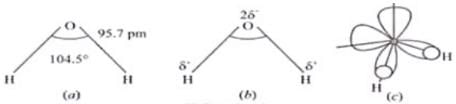 NCERT Exemplar: Hydrogen (Old NCERT) | Chemistry for Grade 11