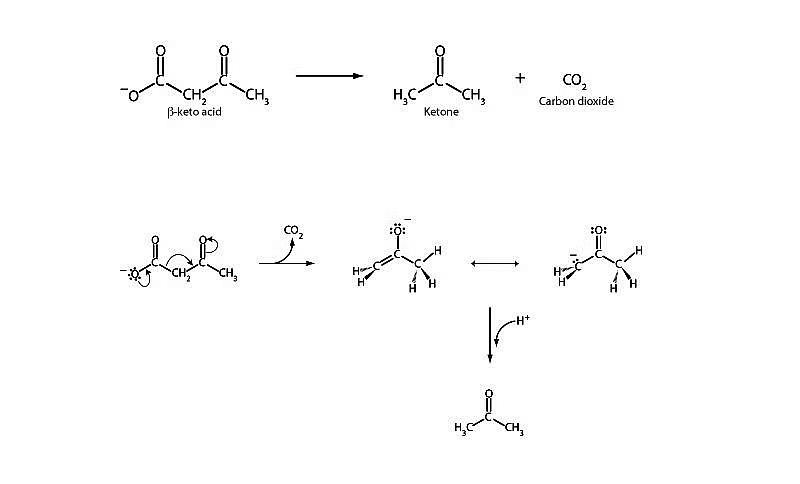Carboxylic Acids: Physical & Chemical Properties | Chemistry for JEE Main & Advanced