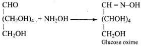 NCERT Exemplar: Biomolecules | Chemistry Class 12 - NEET