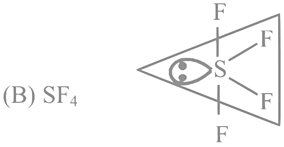 JEE Main Previous Year Questions (2023): Chemical Bonding & Molecular Structure