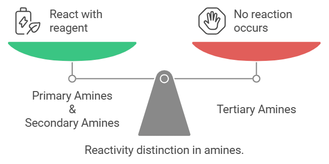 Mnemonics: Amines | Chemistry Class 12 - NEET