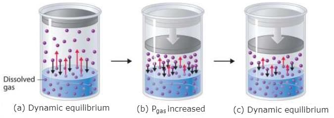 Solubility of liquids in liquids and Gases in Liquids | AP Chemistry - Grade 9
