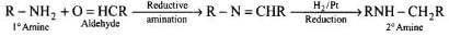 NCERT Exemplar: Amines | Chemistry Class 12 - NEET