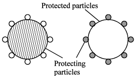 Properties of Colloidal Solutions | Additional Study Material for JEE