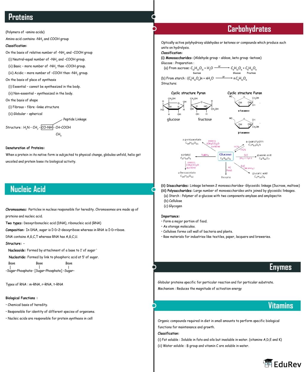 Mindmap: Biomolecules | Chemistry Class 12 - NEET