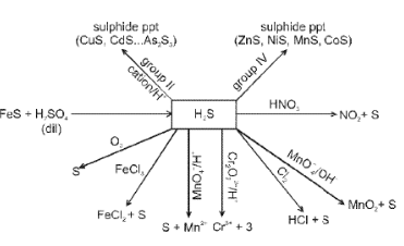 Important p-Block Elements & Their Compounds Formulas for JEE and NEET