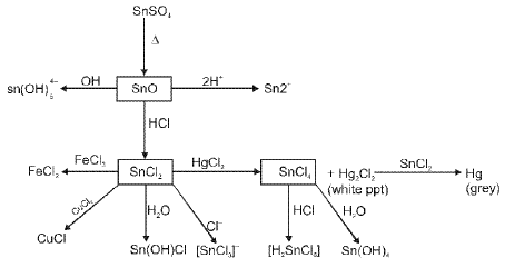 Important p-Block Elements & Their Compounds Formulas for JEE and NEET
