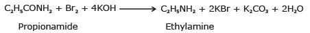 Basic Character & Preparation of Amines | Chemistry Class 12 - NEET