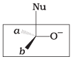 NCERT Exemplar: Aldehydes, Ketones & Carboxylic Acids | Chemistry Class 12 - NEET