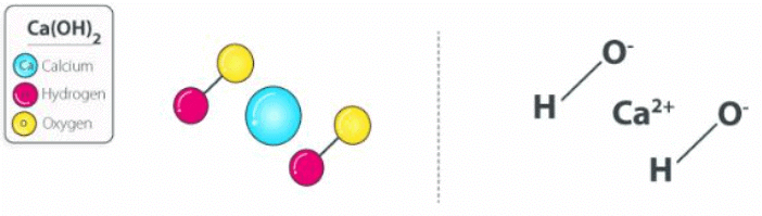 Calcium Hydroxide Structure