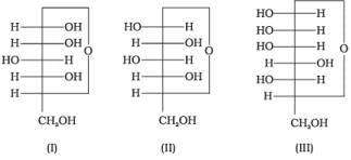 NCERT Exemplar: Biomolecules | Chemistry Class 12 - NEET