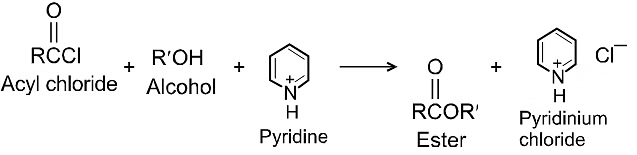 Carboxylic Acids and its Derivatives: Nomenclature & Preparation | Chemistry for JEE Main & Advanced