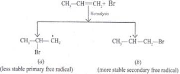 NCERT Exemplar - Hydrocarbons - 2 | Additional Study Material for JEE