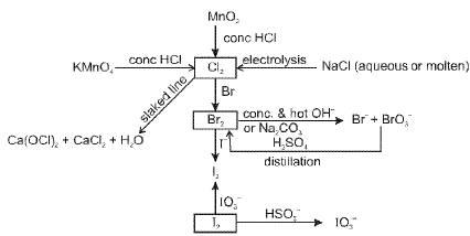 Important p-Block Elements & Their Compounds Formulas for JEE and NEET