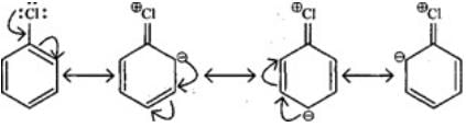 NCERT Exemplar: Hydrocarbons | Chemistry Class 11 - NEET