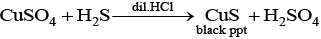 NCERT Exemplar: p-Block Elements (Group 15-18) | Chemistry for JEE Main & Advanced