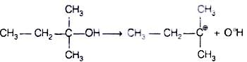 NCERT Exemplar: Haloalkanes and Haloarenes | Chemistry for JEE Main & Advanced