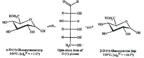 Carbohydrates: Monosaccharides, Disaccharides & Polysaccharides | Chemistry Class 12 - NEET