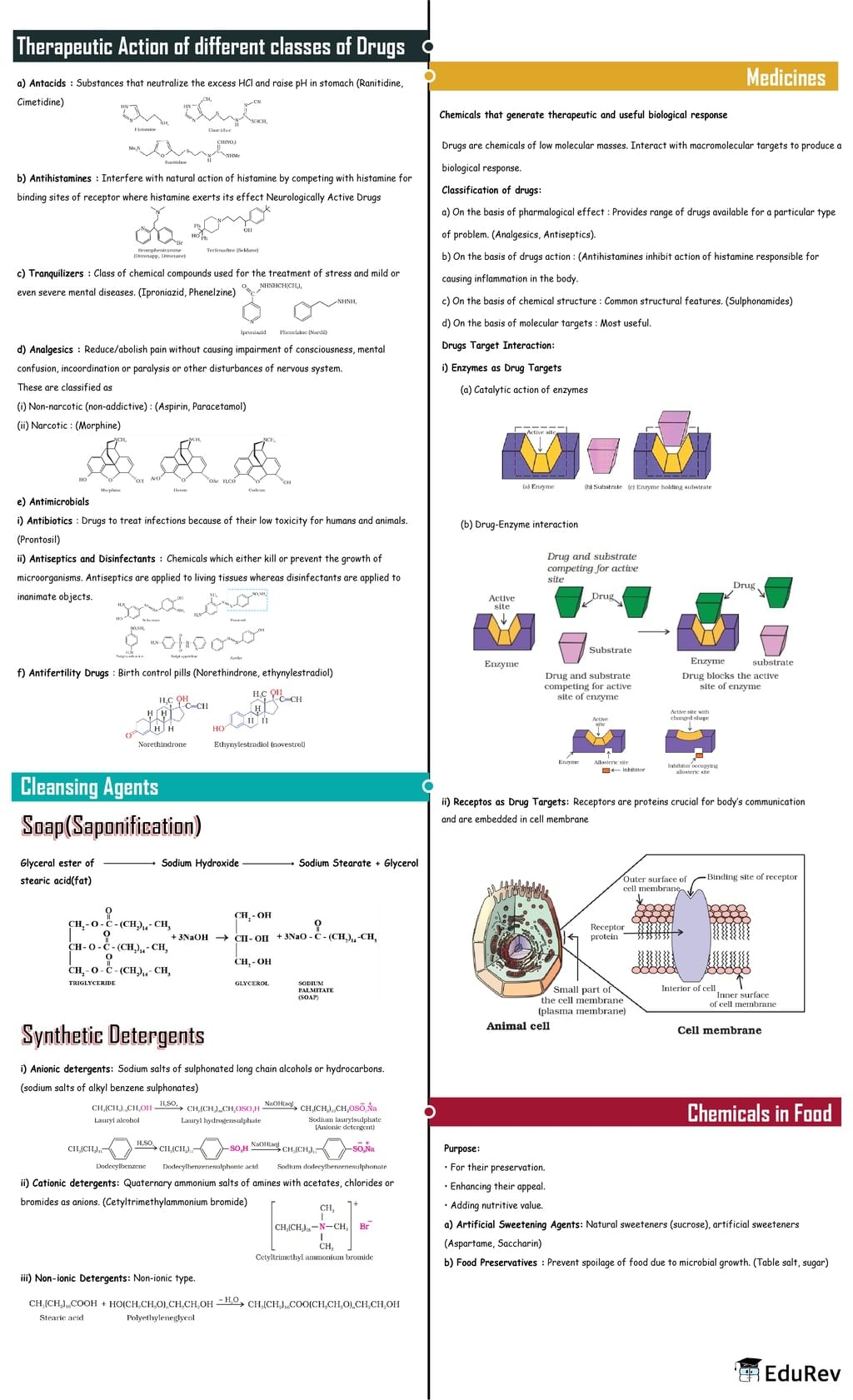 Mind Map: Chemistry in Everyday Life (Old NCERT) | Chemistry Class 12 - NEET