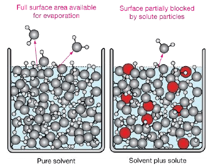 Colligative Properties & Relative Lowering in V.P | Additional Study Material for JEE