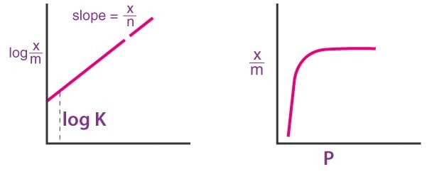 Surface Chemistry & Adsorption | Physical Chemistry for NEET