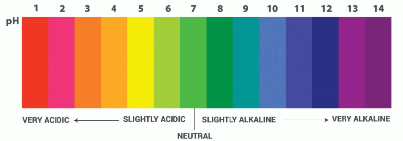 Indicators, Acids, Bases & Salts | Chemistry Class 11 - NEET