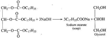 NCERT Exemplar: Alcohols, Phenols & Ethers | Chemistry Class 12 - NEET