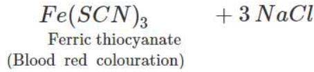 Short & Long Answer Question - Class 11