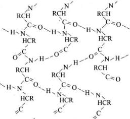 NCERT Exemplar: Biomolecules | Chemistry Class 12 - NEET