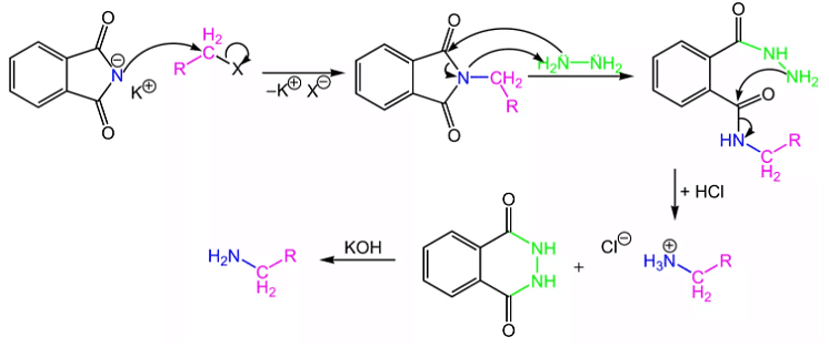 Gabriel Phthalamide Reaction - JEE