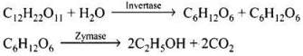 NCERT Exemplar: Alcohols, Phenols & Ethers | Chemistry Class 12 - NEET