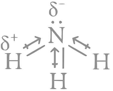 JEE Main Previous Year Questions (2023): Chemical Bonding & Molecular Structure
