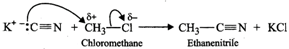 Short & Long Answer Questions: Haloalkanes & Haloarenes | Chemistry for JEE Main & Advanced