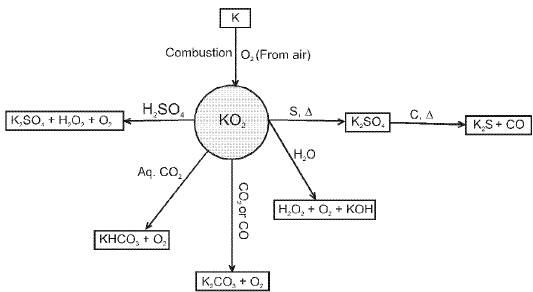 Important S-Block Elements & Their Compounds Formulas for JEE and NEET